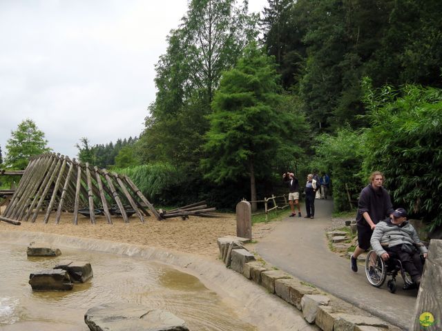 Randonnée joëlettes à Chevetogne