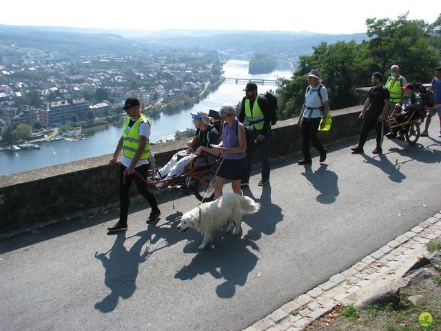 Randonnée joëlettes à Namur