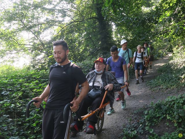 Randonnée joëlettes à Namur