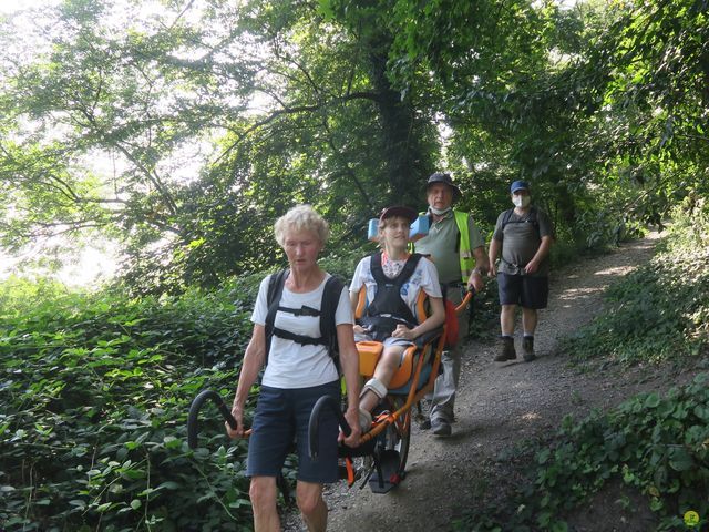 Randonnée joëlettes à Namur