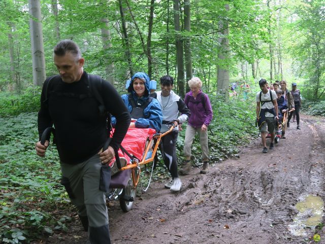 Randonnée joëlettes à Rochefort