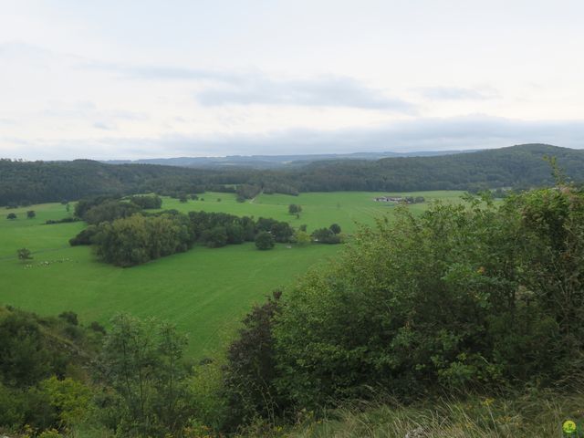 Randonnée joëlettes à Rochefort