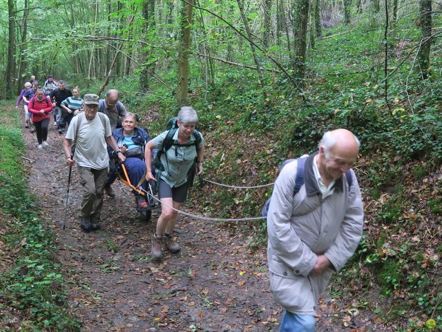 Randonnée joëlettes à Rochefort