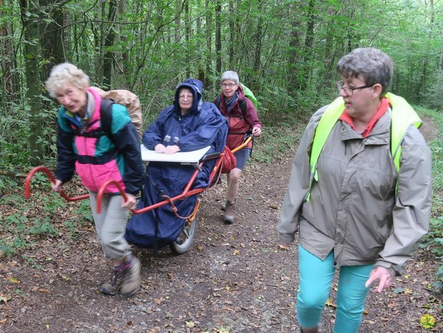 Randonnée joëlettes à Rochefort