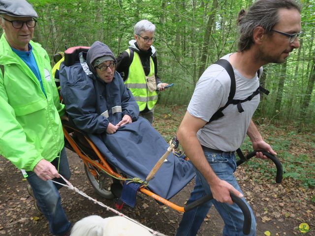 Randonnée joëlettes à Rochefort