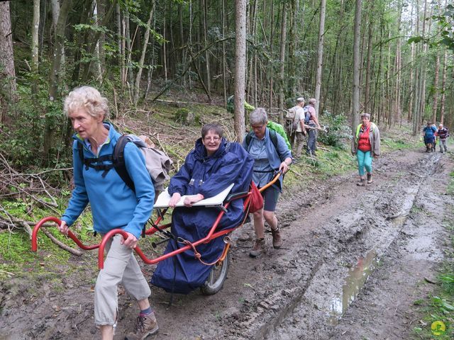 Randonnée joëlettes à Rochefort