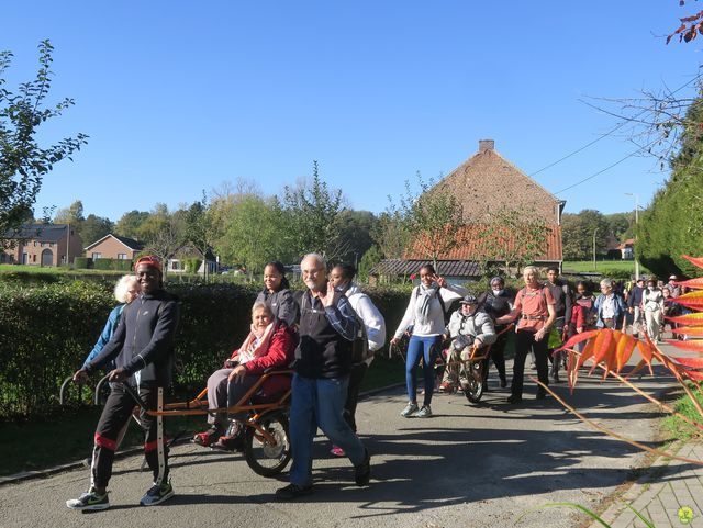 Randonnée joëlettes à Overijse