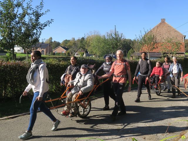 Randonnée joëlettes à Overijse