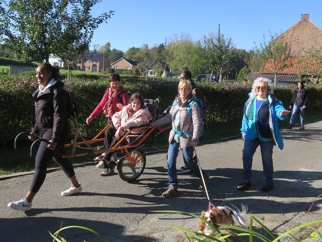 Randonnée joëlettes à Overijse