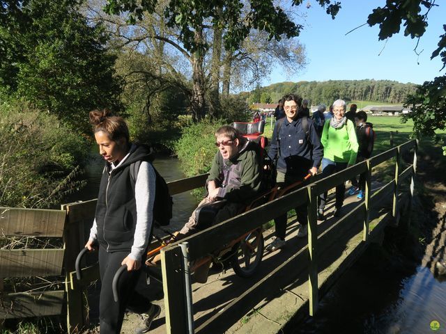 Randonnée joëlettes à Overijse