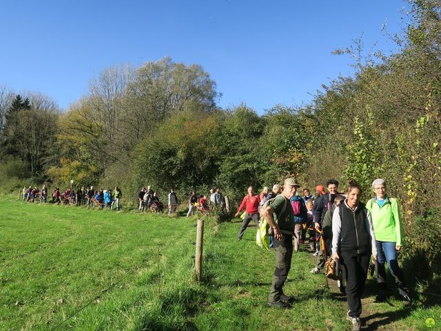 Randonnée joëlettes à Overijse