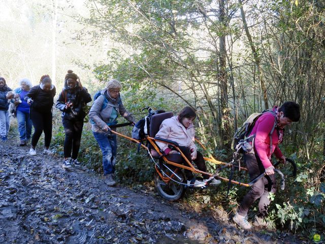 Randonnée joëlettes à Overijse