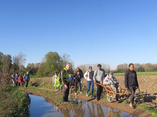 Randonnée joëlettes à Overijse