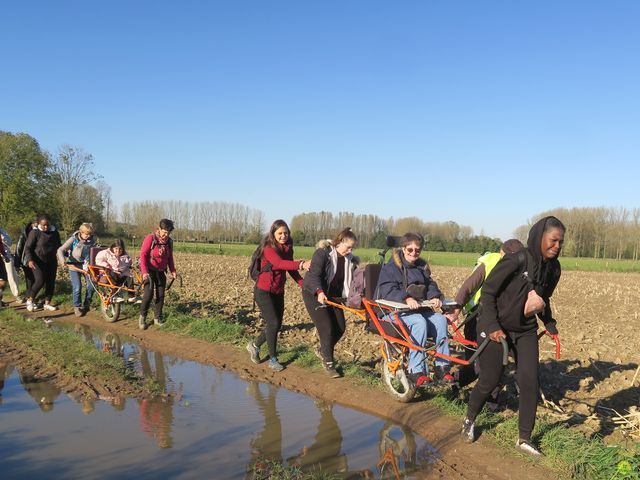 Randonnée joëlettes à Overijse