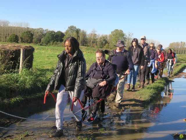 Randonnée joëlettes à Overijse