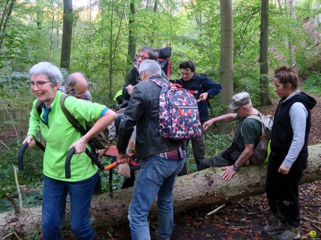 Randonnée joëlettes à Overijse