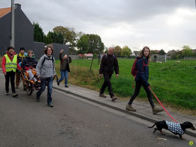 Randonnée joëlettes à Hélécine