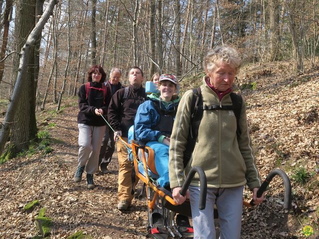 Randonnée joëlettes à Profondeville