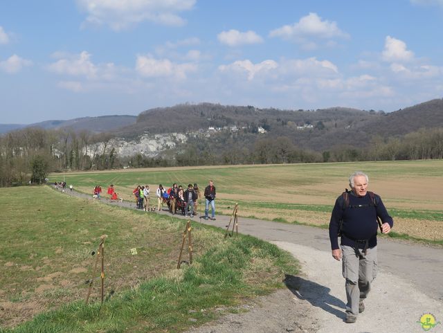 Randonnée joëlettes à Profondeville