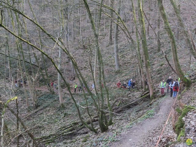 Randonnée joëlettes à Profondeville