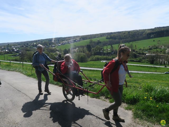 Randonnée joëlettes à Naninne