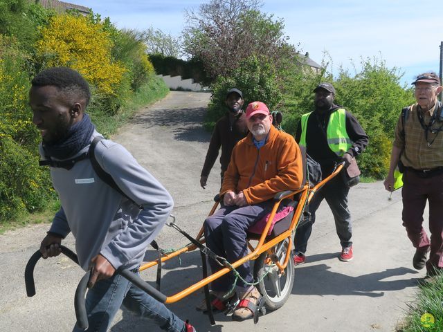 Randonnée joëlettes à Naninne