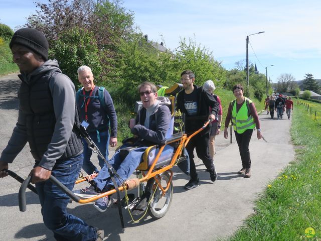 Randonnée joëlettes à Naninne