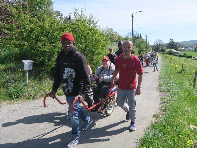 Randonnée joëlettes à Naninne