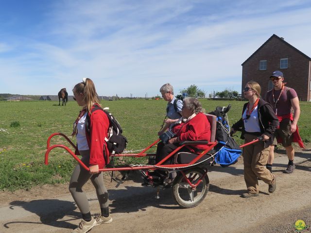 Randonnée joëlettes à Naninne