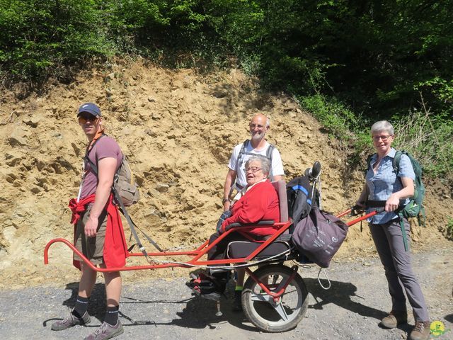 Randonnée joëlettes à Naninne