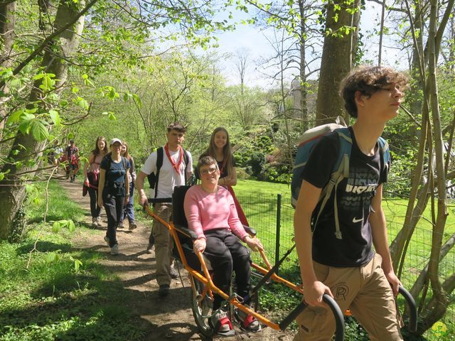 Randonnée joëlettes à Naninne