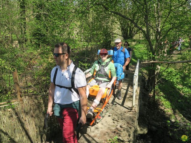 Randonnée joëlettes à Naninne