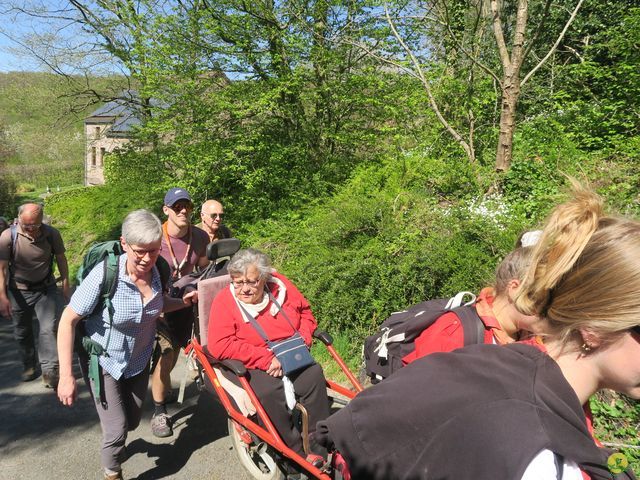 Randonnée joëlettes à Naninne