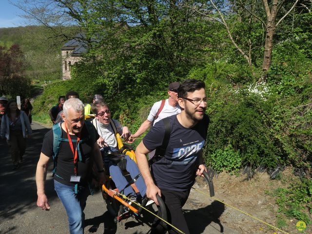 Randonnée joëlettes à Naninne