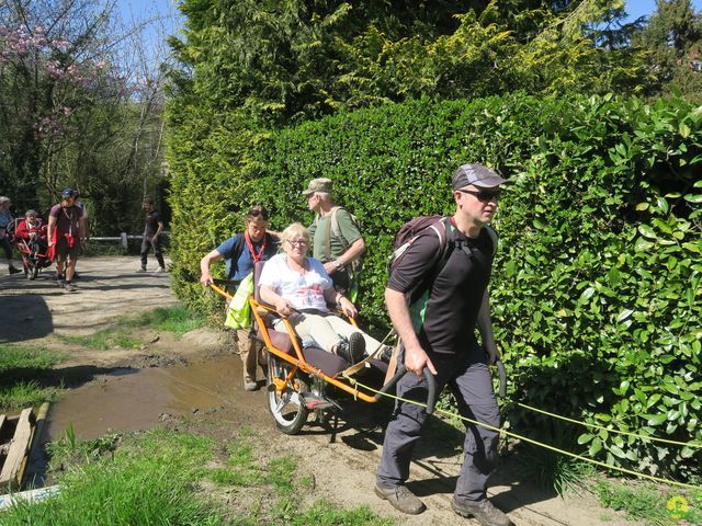 Randonnée joëlettes à Naninne