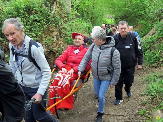 Randonnée joëlettes à Bousval