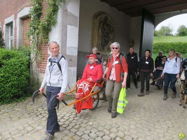 Randonnée joëlettes à Bousval