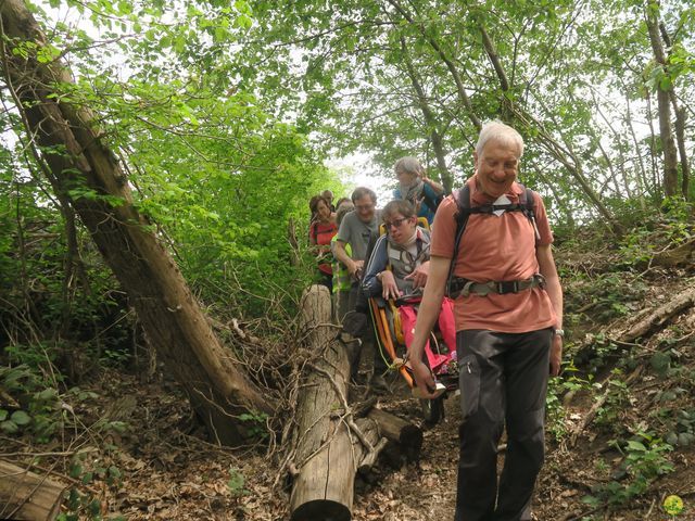 Randonnée joëlettes à Bousval