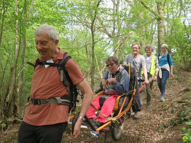 Randonnée joëlettes à Bousval