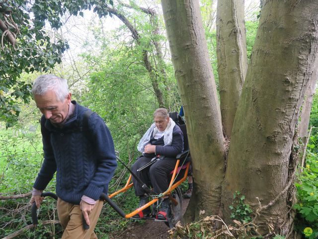 Randonnée joëlettes à Bousval