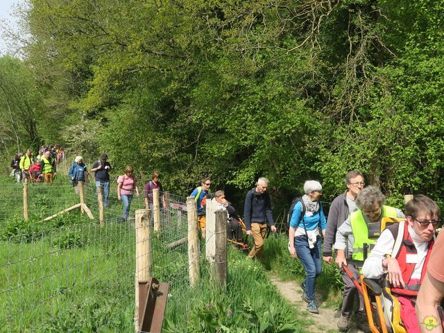 Randonnée joëlettes à Bousval