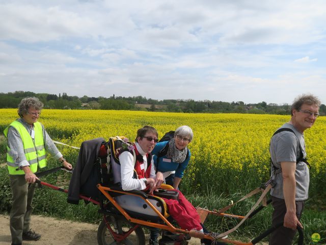 Randonnée joëlettes à Bousval