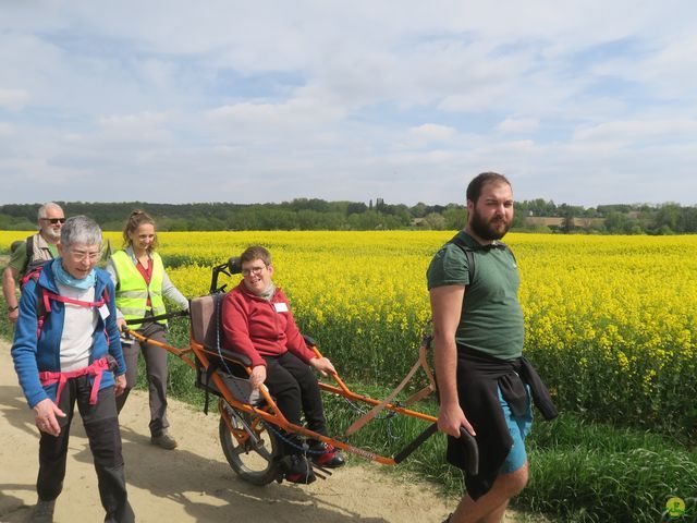 Randonnée joëlettes à Bousval