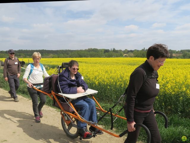 Randonnée joëlettes à Bousval