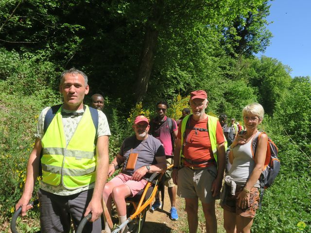 Randonnée joëlettes à Florenville