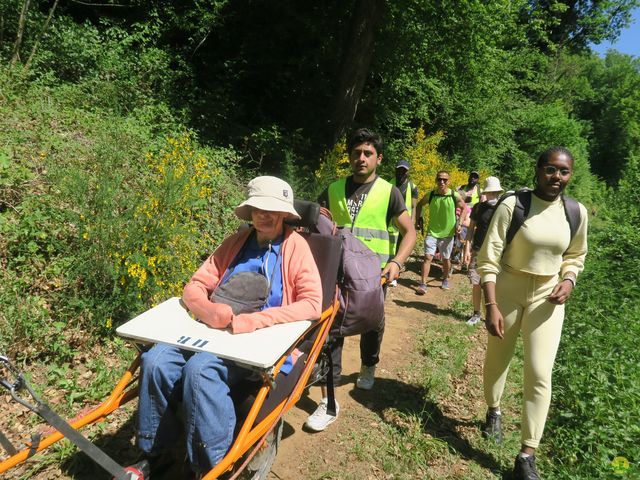 Randonnée joëlettes à Florenville