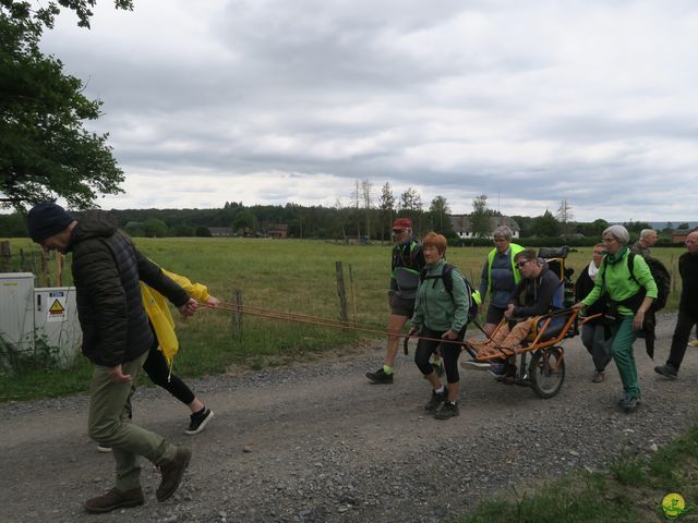 Randonnée joëlettes à Ciergnon