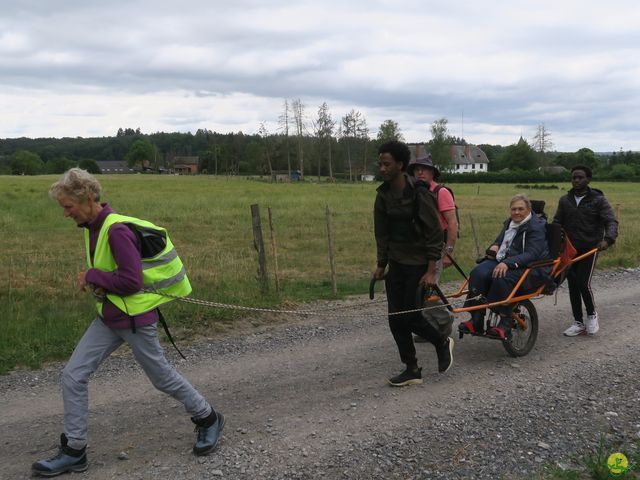 Randonnée joëlettes à Ciergnon