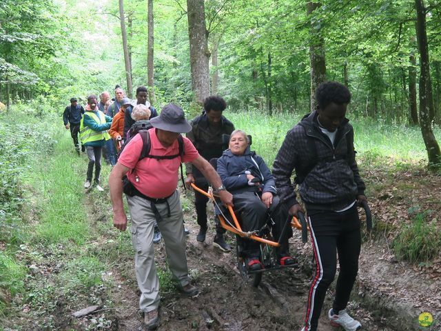 Randonnée joëlettes à Ciergnon