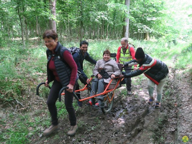 Randonnée joëlettes à Ciergnon